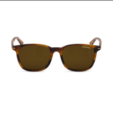 Squared sunglasses with Brown coloured Acetate Frame